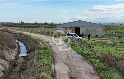 ÇANAKKALE BİGA KOCAGÜR KÖYÜ'NDE SATILIK FIRSAT ÇİFTLİK!!!