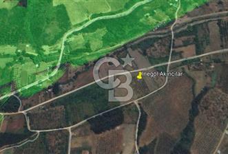 İNEGÖL AKINCILAR'DA HOBİ VE YATIRIMA UYGUN MEYVE BAHÇESİ - 2 - 333093