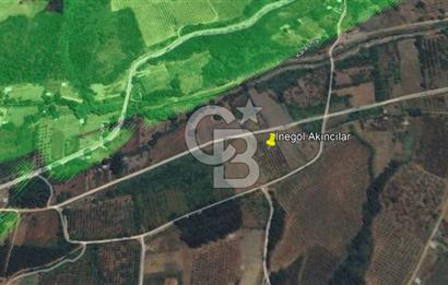 İNEGÖL AKINCILAR'DA HOBİ VE YATIRIMA UYGUN MEYVE BAHÇESİ