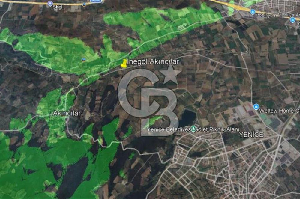 İNEGÖL AKINCILAR'DA HOBİ VE YATIRIMA UYGUN MEYVE BAHÇESİ