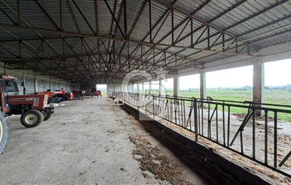 ÇANAKKALE BİGA KOCAGÜR KÖYÜ'NDE SATILIK FIRSAT ÇİFTLİK!!!