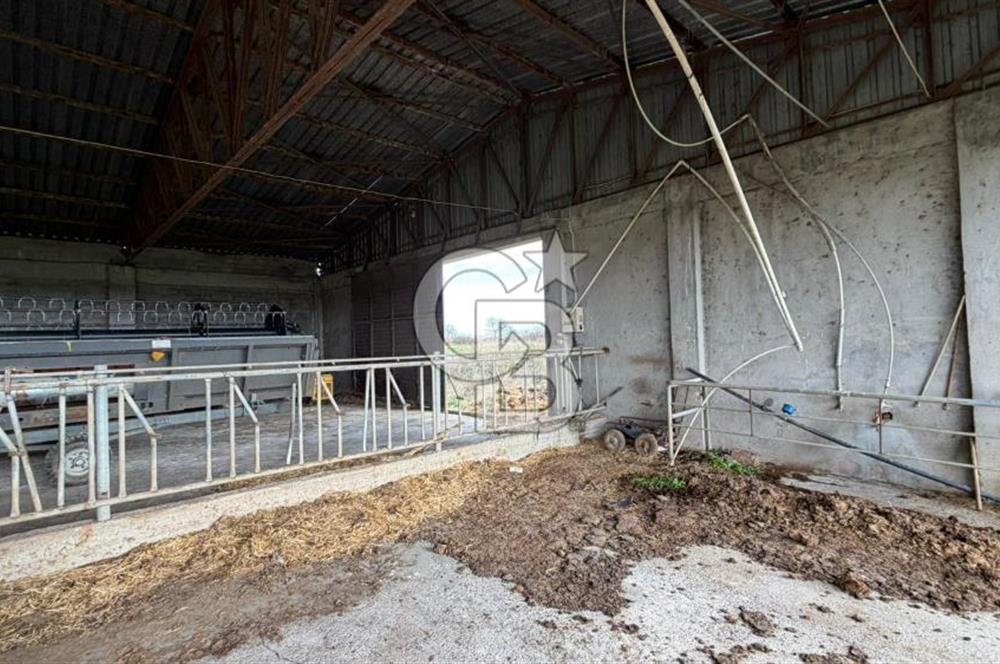 ÇANAKKALE BİGA KOCAGÜR KÖYÜ'NDE SATILIK FIRSAT ÇİFTLİK!!!