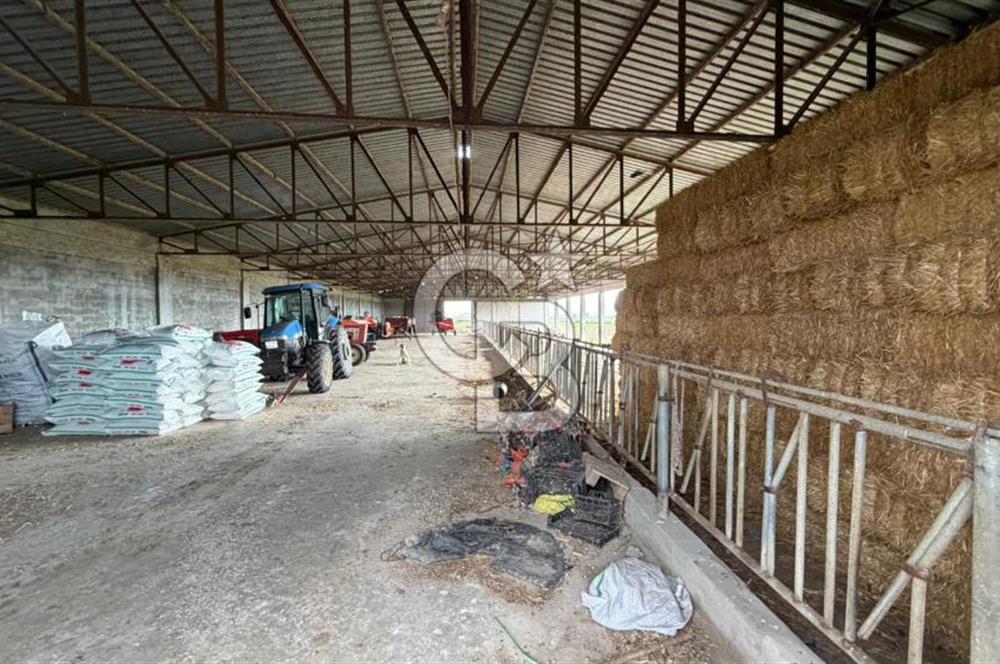 ÇANAKKALE BİGA KOCAGÜR KÖYÜ'NDE SATILIK FIRSAT ÇİFTLİK!!!