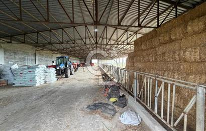 ÇANAKKALE BİGA KOCAGÜR KÖYÜ'NDE SATILIK FIRSAT ÇİFTLİK!!!