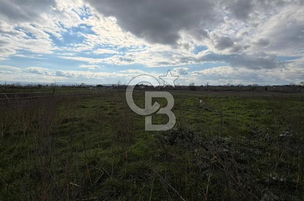 ÇANAKKALE BİGA KOCAGÜR KÖYÜ'NDE SATILIK FIRSAT ÇİFTLİK!!!