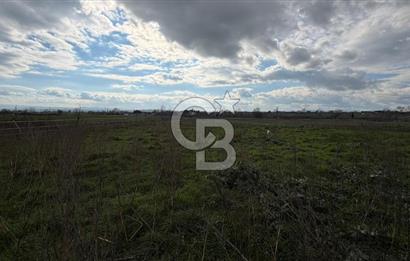 ÇANAKKALE BİGA KOCAGÜR KÖYÜ'NDE SATILIK FIRSAT ÇİFTLİK!!!