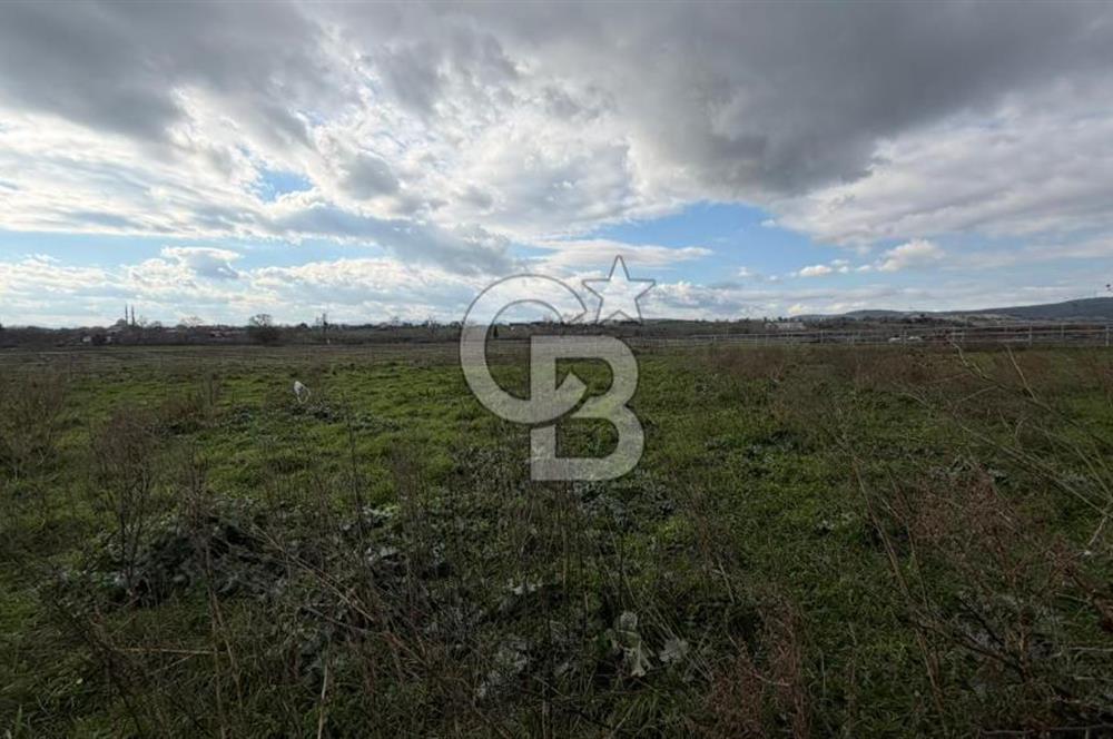 ÇANAKKALE BİGA KOCAGÜR KÖYÜ'NDE SATILIK FIRSAT ÇİFTLİK!!!