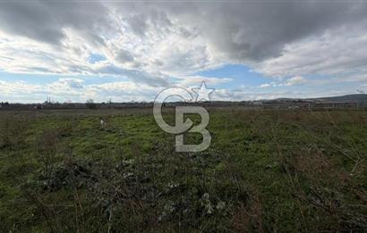 ÇANAKKALE BİGA KOCAGÜR KÖYÜ'NDE SATILIK FIRSAT ÇİFTLİK!!!