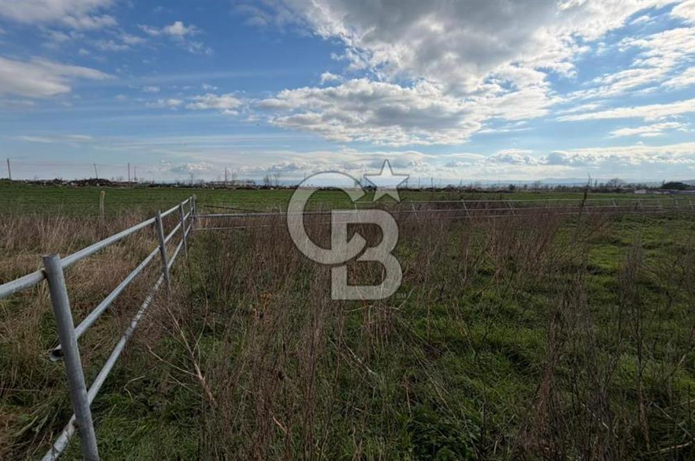 ÇANAKKALE BİGA KOCAGÜR KÖYÜ'NDE SATILIK FIRSAT ÇİFTLİK!!!