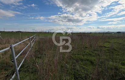 ÇANAKKALE BİGA KOCAGÜR KÖYÜ'NDE SATILIK FIRSAT ÇİFTLİK!!!