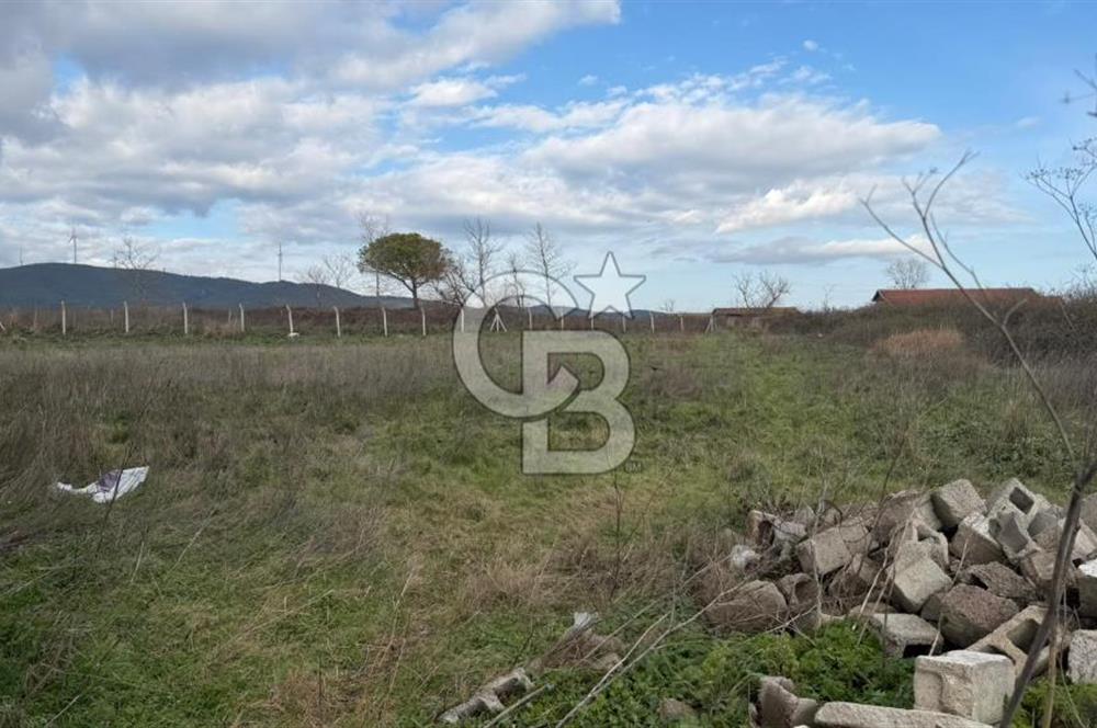 ÇANAKKALE BİGA KOCAGÜR KÖYÜ'NDE SATILIK FIRSAT ÇİFTLİK!!!