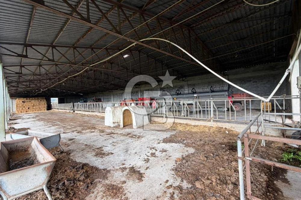 ÇANAKKALE BİGA KOCAGÜR KÖYÜ'NDE SATILIK FIRSAT ÇİFTLİK!!!