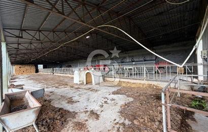 ÇANAKKALE BİGA KOCAGÜR KÖYÜ'NDE SATILIK FIRSAT ÇİFTLİK!!!