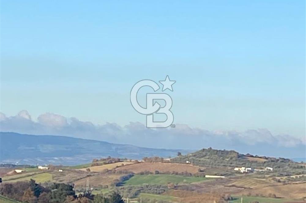 Musa Köyü | Bitişik 2 Parsel Tarla | 17.000 m² | Ana Yola Yakın