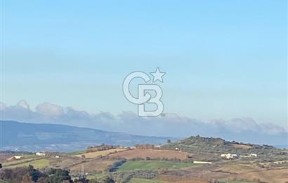 Musa Köyü | Bitişik 2 Parsel Tarla | 17.000 m² | Ana Yola Yakın