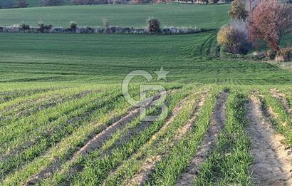 Musa Köyü | Bitişik 2 Parsel Tarla | 17.000 m² | Ana Yola Yakın