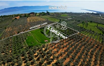 CB CLASS BURSA -ORHANGAZİ- AKHAREM 3.588 m² SATILIK ZEYTİNLİK