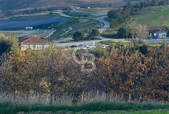 Musa Köyü | Bitişik 2 Parsel Tarla | 17.000 m² | Ana Yola Yakın - 9 - 333119