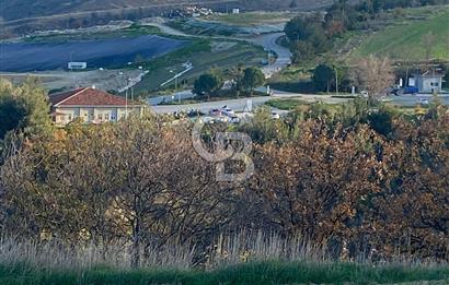 Musa Köyü | Bitişik 2 Parsel Tarla | 17.000 m² | Ana Yola Yakın