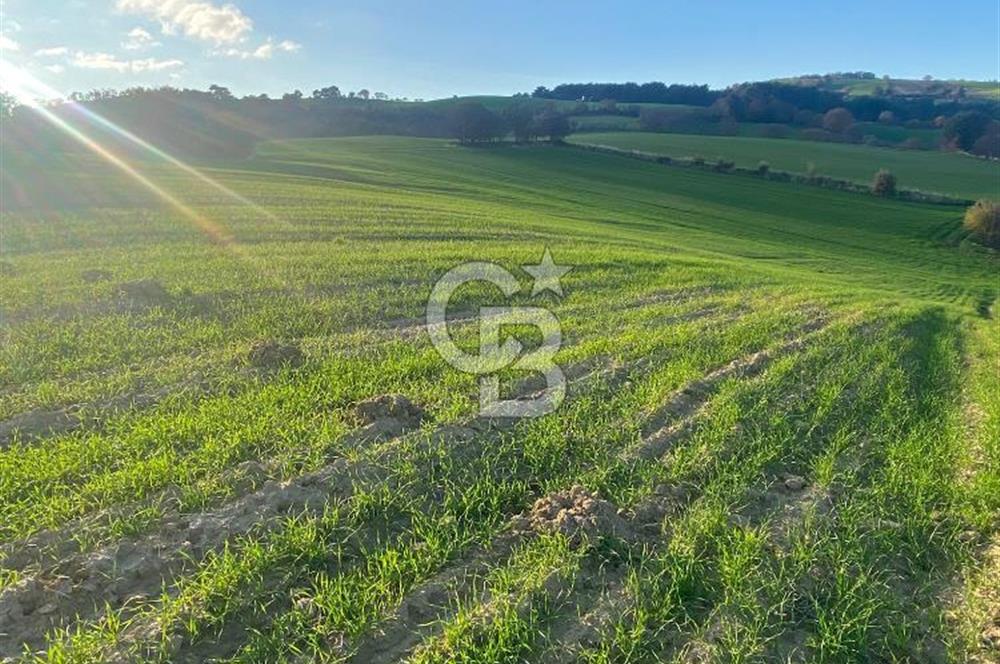 Musa Köyü | Bitişik 2 Parsel Tarla | 17.000 m² | Ana Yola Yakın