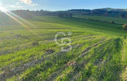 Musa Köyü | Bitişik 2 Parsel Tarla | 17.000 m² | Ana Yola Yakın