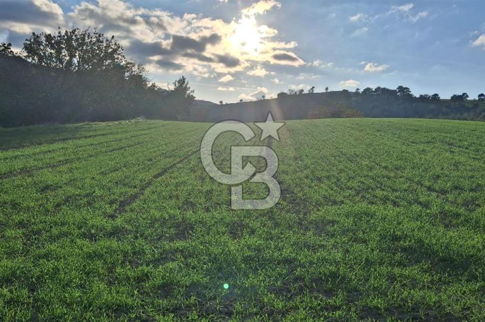 Musa Köyü | Bitişik 2 Parsel Tarla | 17.000 m² | Ana Yola Yakın