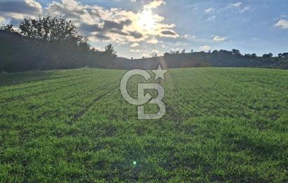 Musa Köyü | Bitişik 2 Parsel Tarla | 17.000 m² | Ana Yola Yakın