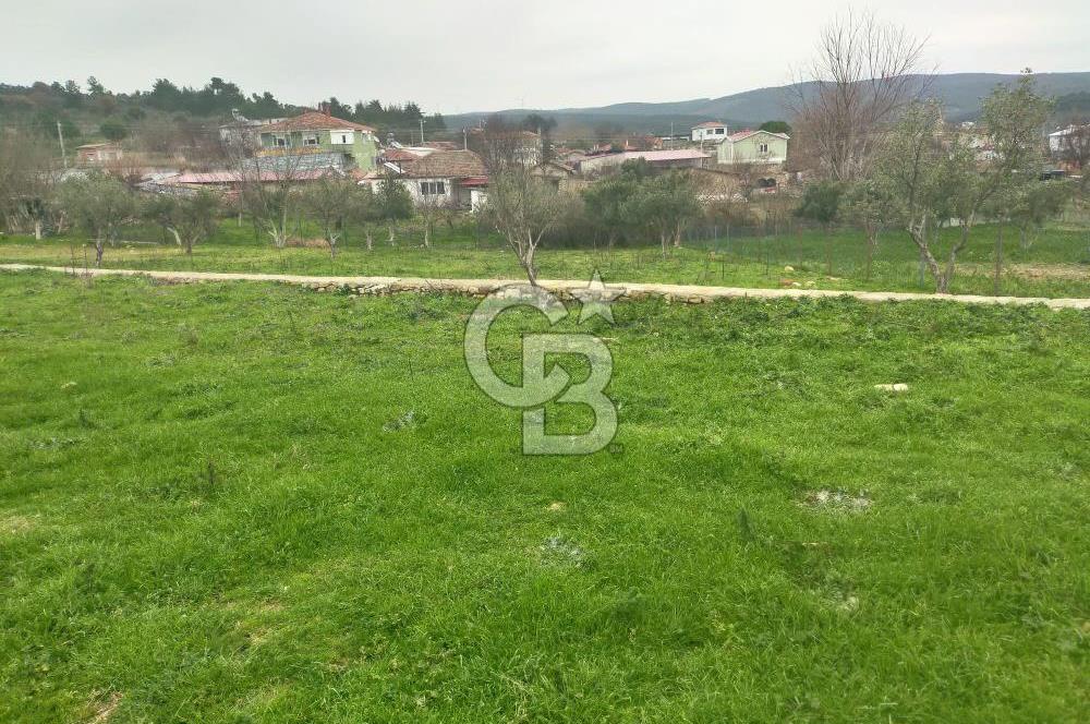 Dümrek Köy İçi | Yerleşik Alan | 2 Kat Yapı İzni | 1.023 m² Arsa