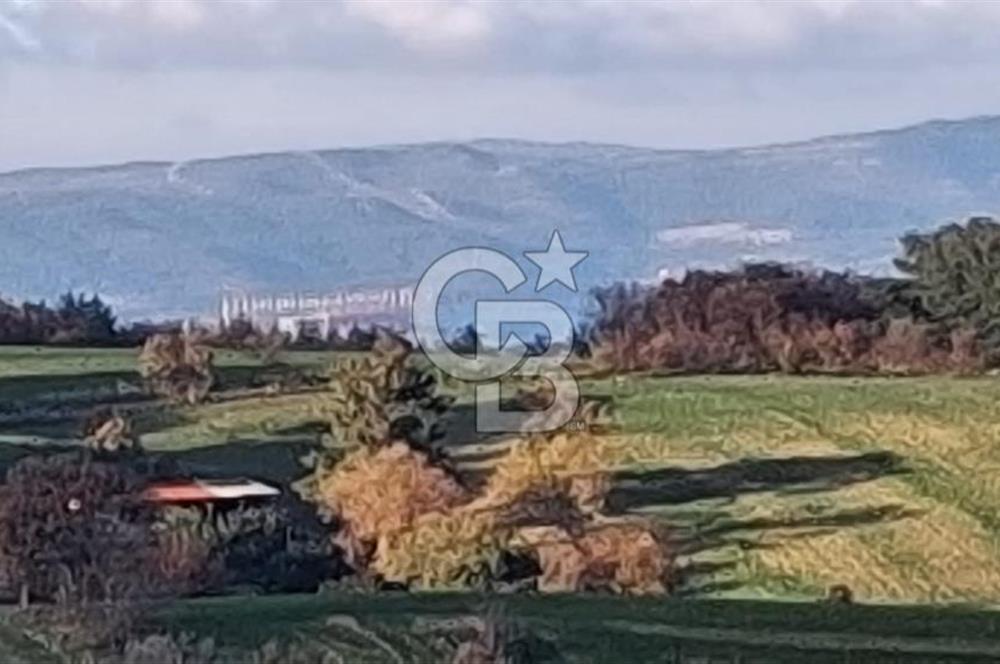 Musa Köyü | Bitişik 2 Parsel Tarla | 17.000 m² | Ana Yola Yakın