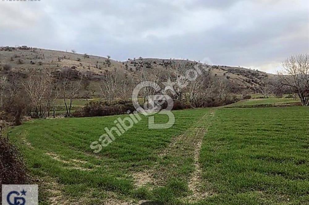 Sarayköy Beylerbeyi nde 7121 m2 Satılık Tarla