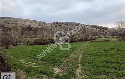 Sarayköy Beylerbeyi nde 7121 m2 Satılık Tarla