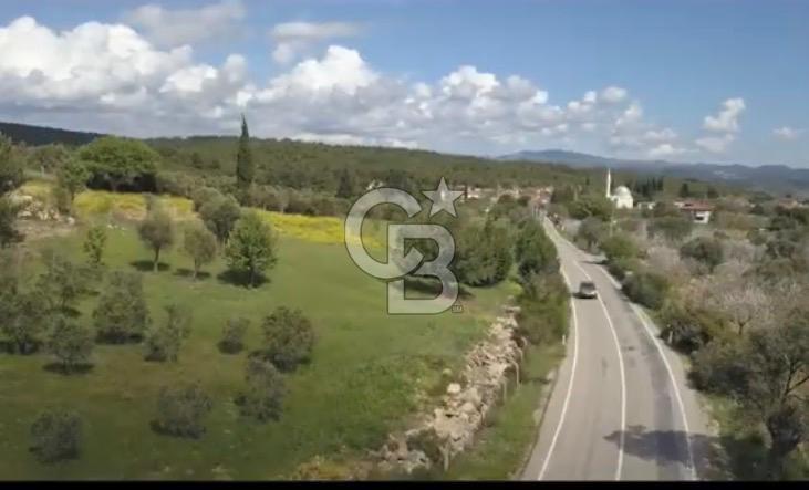 Urla Ovacık 7661m2 Satılık zeytinli Tarla