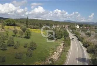 Urla Ovacık 7661m2 Satılık zeytinli Tarla - 3 - 333114