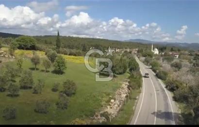 Urla Ovacık 7661m2 Satılık zeytinli Tarla