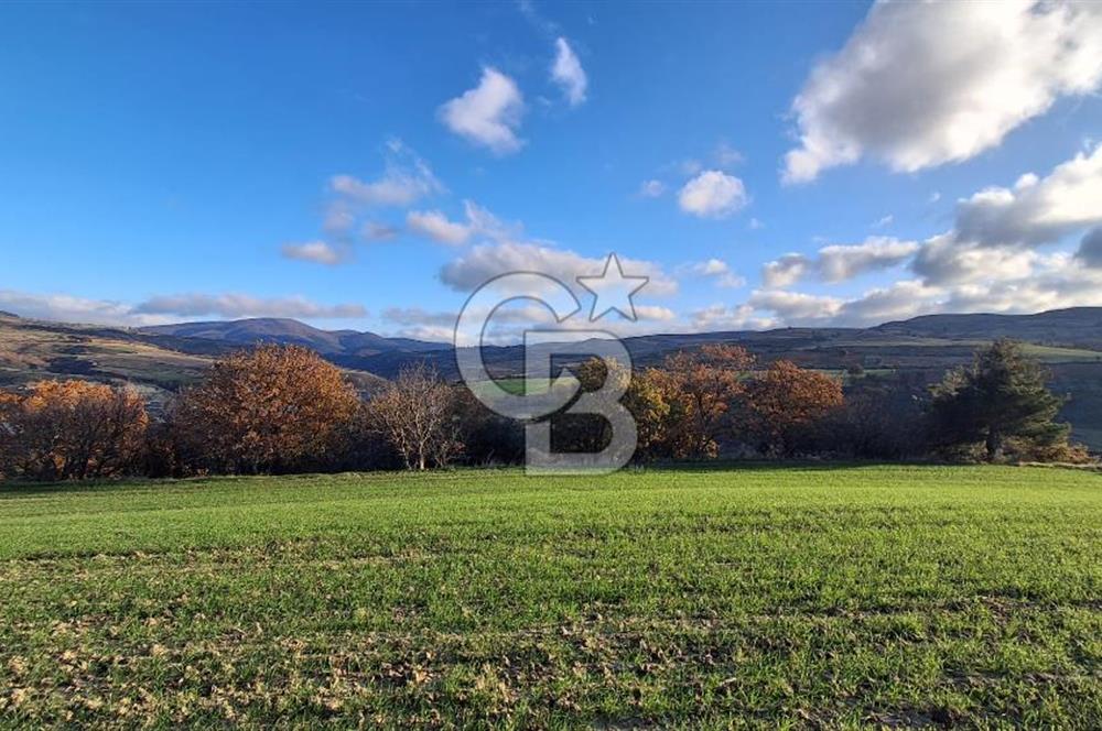 Musa Köyü | Bitişik 2 Parsel Tarla | 17.000 m² | Ana Yola Yakın