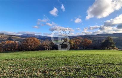 Musa Köyü | Bitişik 2 Parsel Tarla | 17.000 m² | Ana Yola Yakın