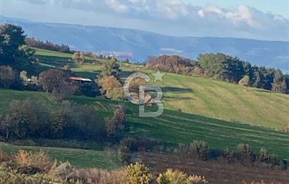 Musa Köyü | Bitişik 2 Parsel Tarla | 17.000 m² | Ana Yola Yakın