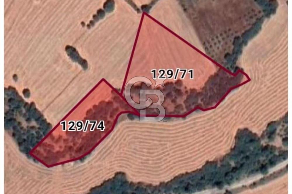 Musa Köyü | Bitişik 2 Parsel Tarla | 17.000 m² | Ana Yola Yakın