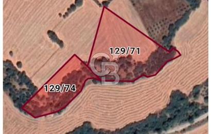 Musa Köyü | Bitişik 2 Parsel Tarla | 17.000 m² | Ana Yola Yakın