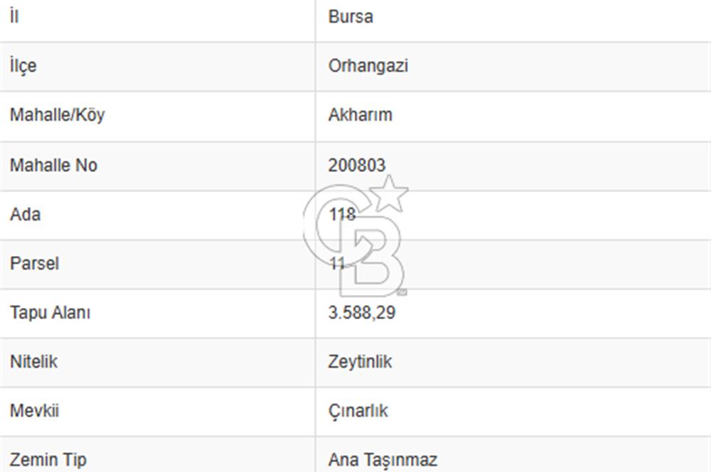 CB CLASS BURSA -ORHANGAZİ- AKHAREM 3.588 m² SATILIK ZEYTİNLİK