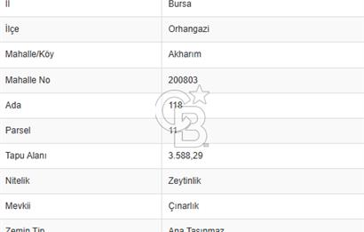 CB CLASS BURSA -ORHANGAZİ- AKHAREM 3.588 m² SATILIK ZEYTİNLİK