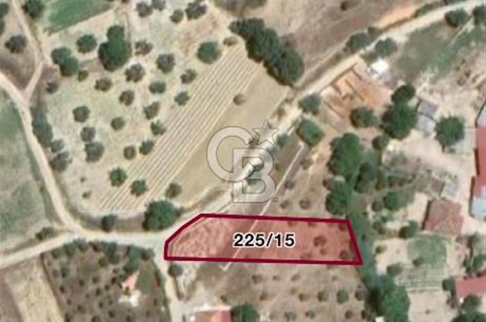 Dümrek Köy İçi | Yerleşik Alan | 2 Kat Yapı İzni | 1.023 m² Arsa