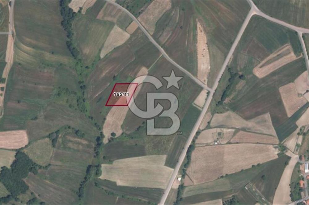 KOCAELİ DERİNCE TAHTALI KÖYÜ 3.433 m² MÜSTAKİL SATILIK TARLA