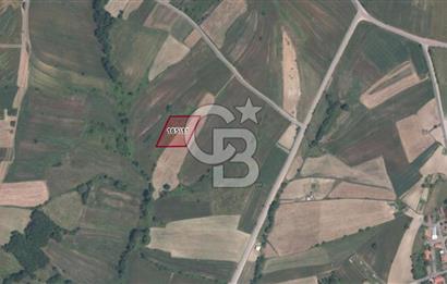 KOCAELİ DERİNCE TAHTALI KÖYÜ 3.433 m² MÜSTAKİL SATILIK TARLA