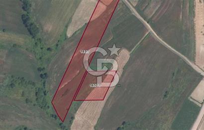 KOCAELİ DERİNCE TAHTALI KÖYÜ 3.433 m² MÜSTAKİL SATILIK TARLA