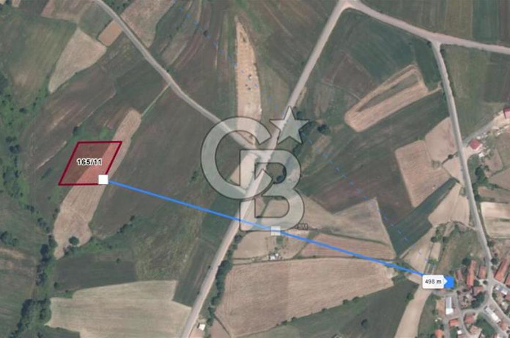 KOCAELİ DERİNCE TAHTALI KÖYÜ 3.433 m² MÜSTAKİL SATILIK TARLA