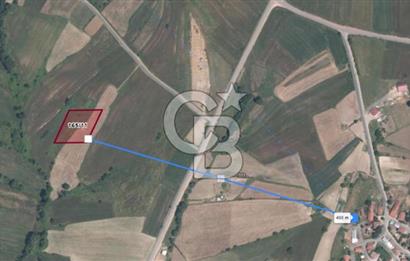 KOCAELİ DERİNCE TAHTALI KÖYÜ 3.433 m² MÜSTAKİL SATILIK TARLA