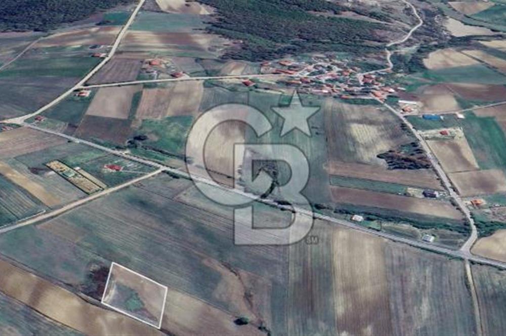 KOCAELİ DERİNCE TAHTALI KÖYÜ 3.433 m² MÜSTAKİL SATILIK TARLA