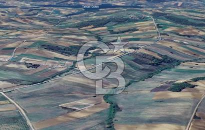 KOCAELİ DERİNCE TAHTALI KÖYÜ 3.433 m² MÜSTAKİL SATILIK TARLA