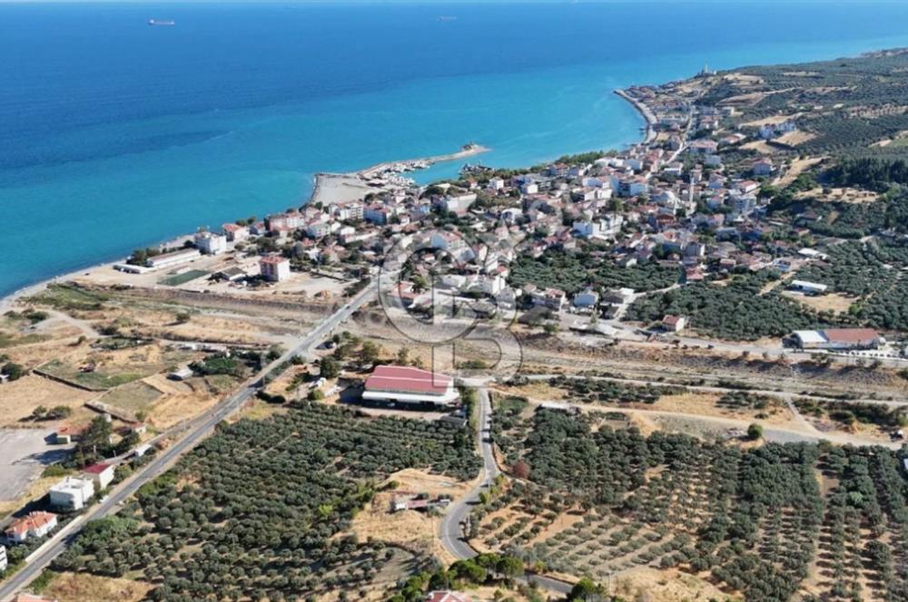 ŞARKÖY HOŞKÖYDE DENİZ KENARI ÖNÜ KAPANMAZ ARSA